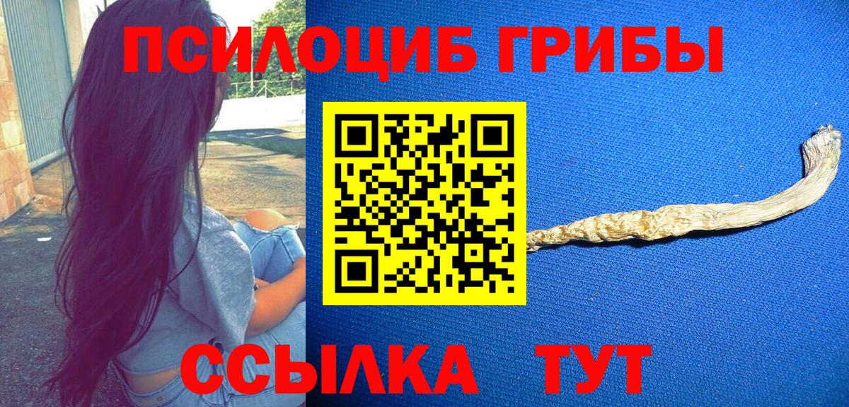 Псилоцибиновые грибы мухоморы Горно-Алтайск