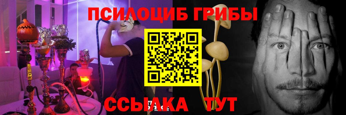 Горно-Алтайск  Галлюциногенные грибы MAGIC MUSHROOMS  что такое   Вход с VPN 